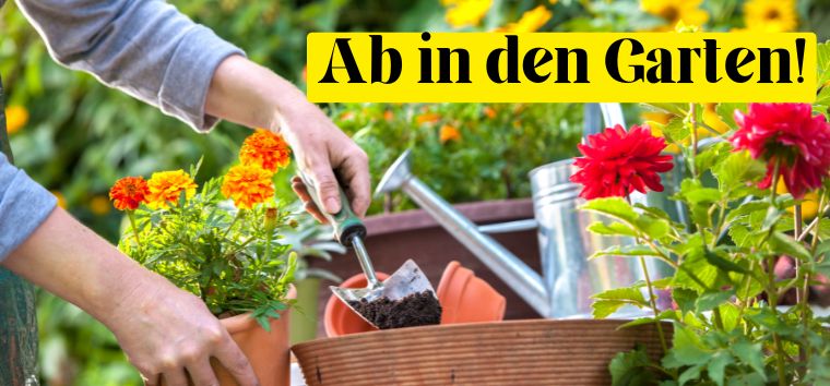 Ab in den Garten