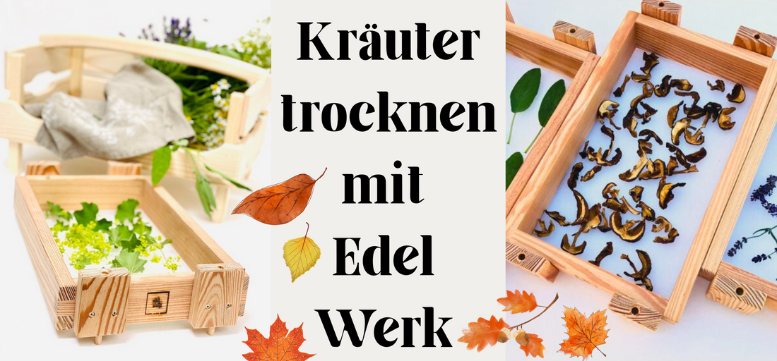 Stapelbarer Kräutertrockner aus der Region - Aromatische Kräuter das ganze Jahr
