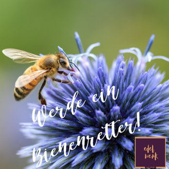 Werden Sie Bienen-Retter