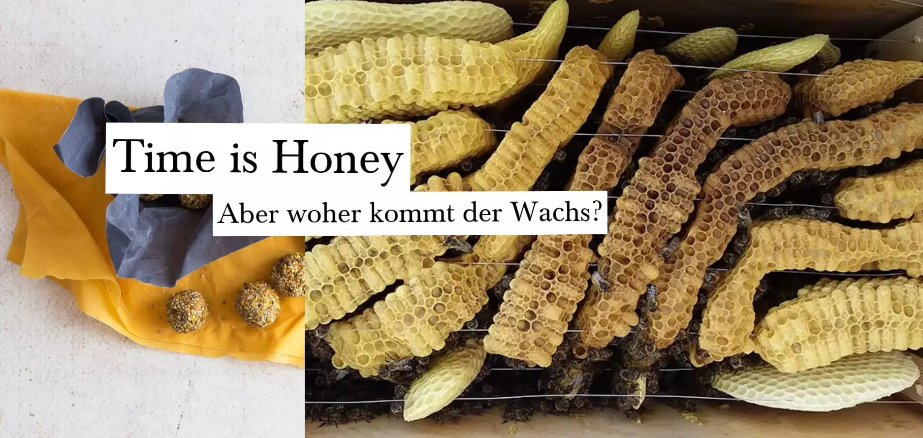 Time is Honey! - Aber woher kommt der Wachs?