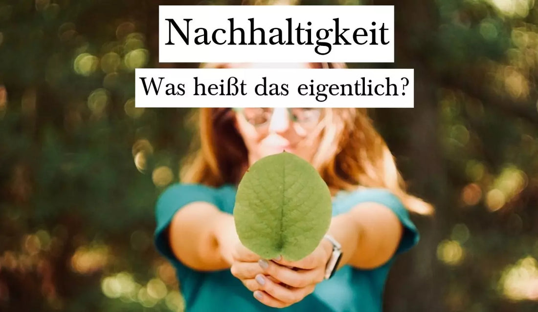Nachhaltigkeit - Was heißt das eigentlich?
