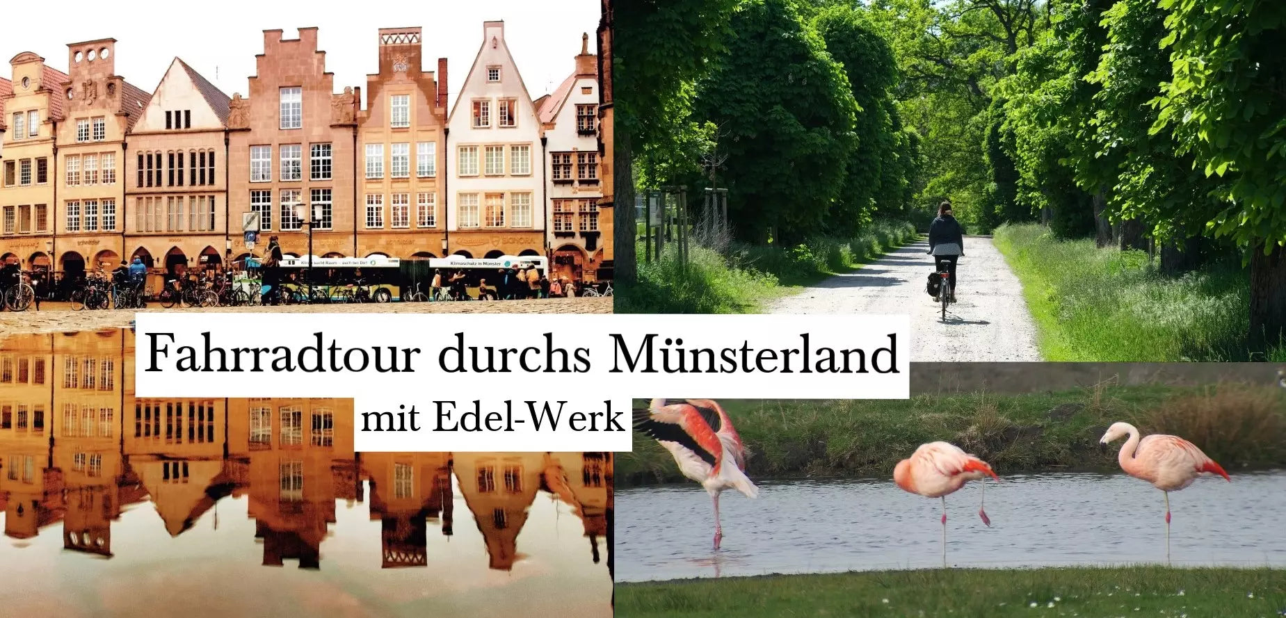 Fahrradtour durchs Münsterland - unterwegs mit Edel-Werk!
