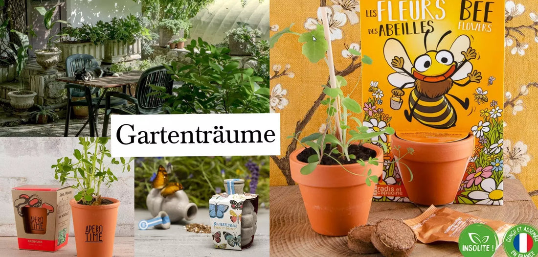 Gartenträume - blühende Blumen für Ihr Zuhause!