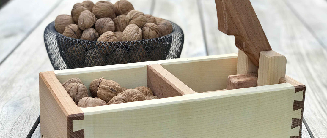 Nüsse – das Kraftpaket für Körper, Geist und Seele