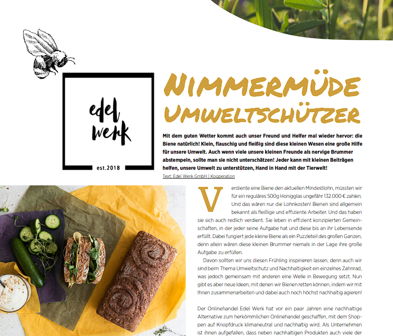 "Nachhaltig Leben" - Wie wir von Bienen lernen können