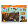 Vivarium - Beobachtung der Wurzeln