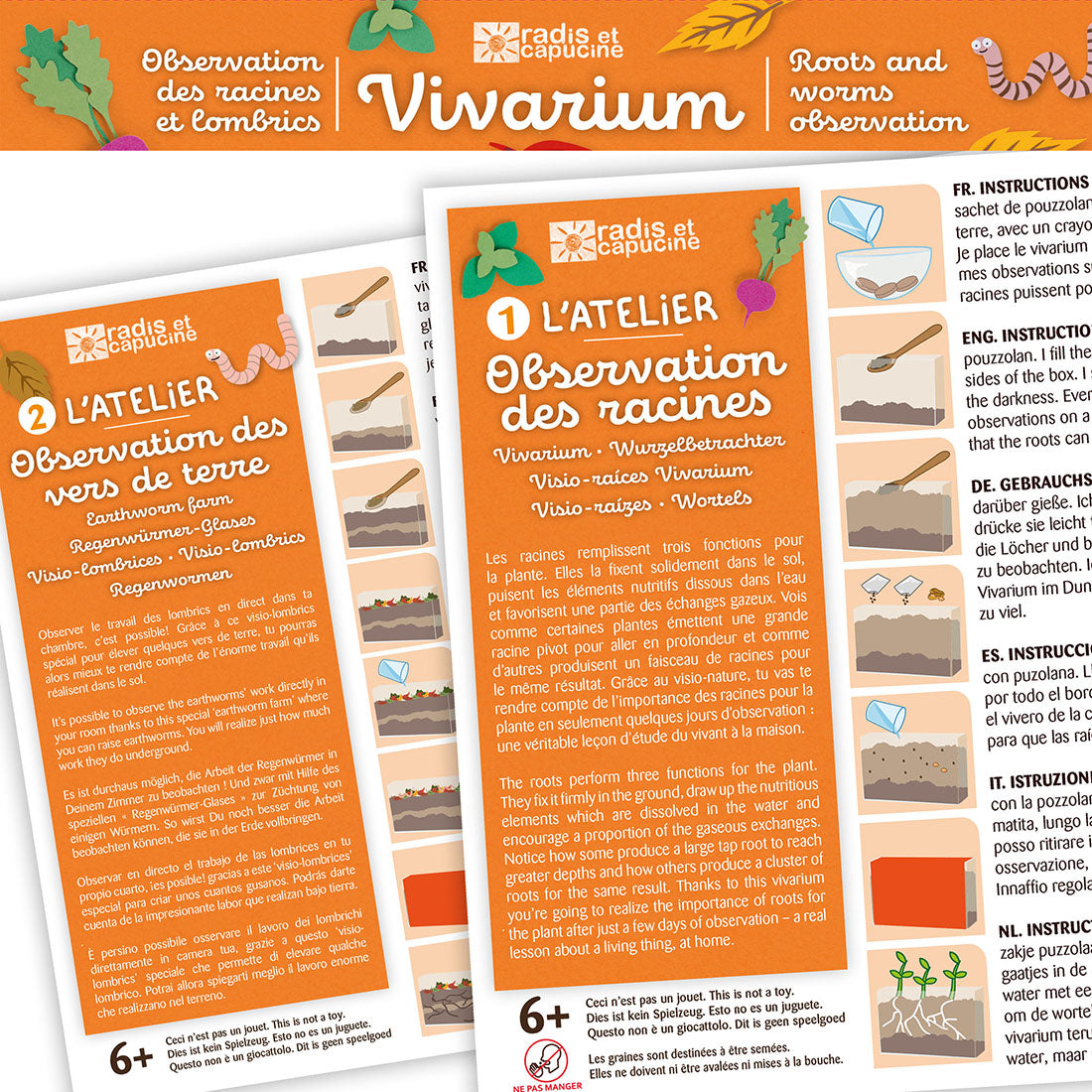 Vivarium - Beobachtung der Wurzeln