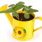 Mini-Gießkanne mit Sonnenblumenkernen - gelb