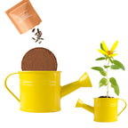Mini-Gießkanne mit Sonnenblumenkernen - gelb