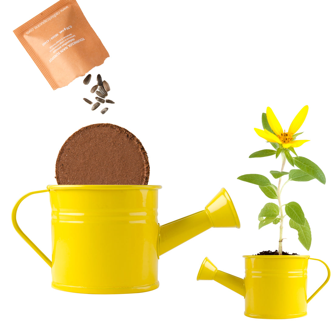 Mini-Gießkanne mit Sonnenblumenkernen - gelb