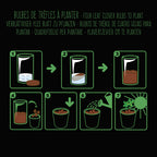 Schwarzes Pflanzset - Kleeblatt