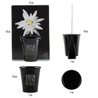 Schwarzes Pflanzset - Edelweiss