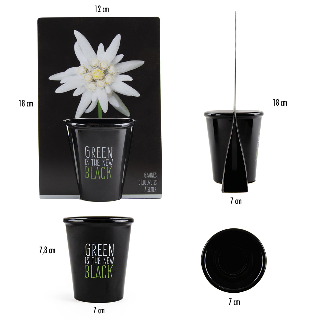 Schwarzes Pflanzset - Edelweiss