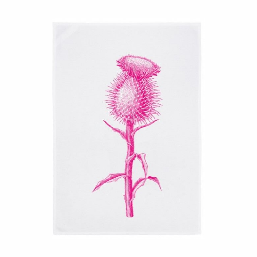 Geschirrtuch-Distel, pink
