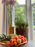 Leder-Blumentopf mit Pflanzen in einem Raum