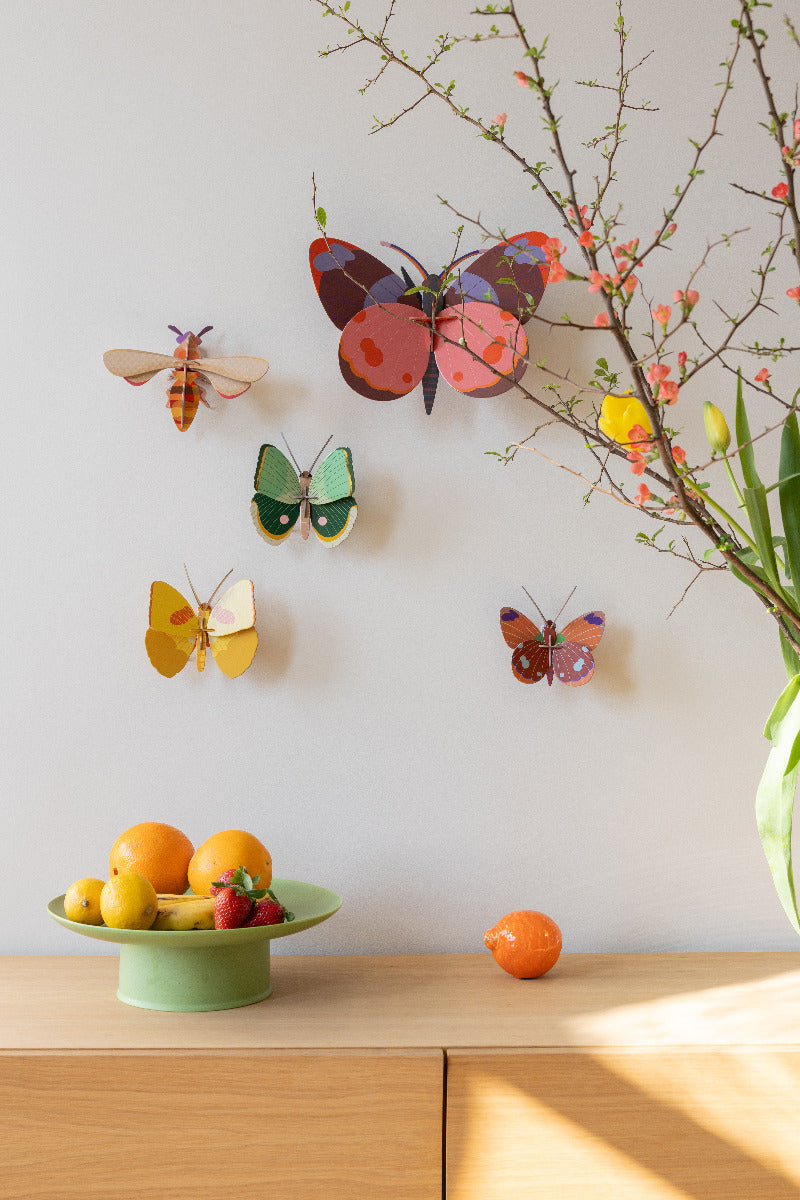 Wanddeko 3D Farngestreifter Schmetterling