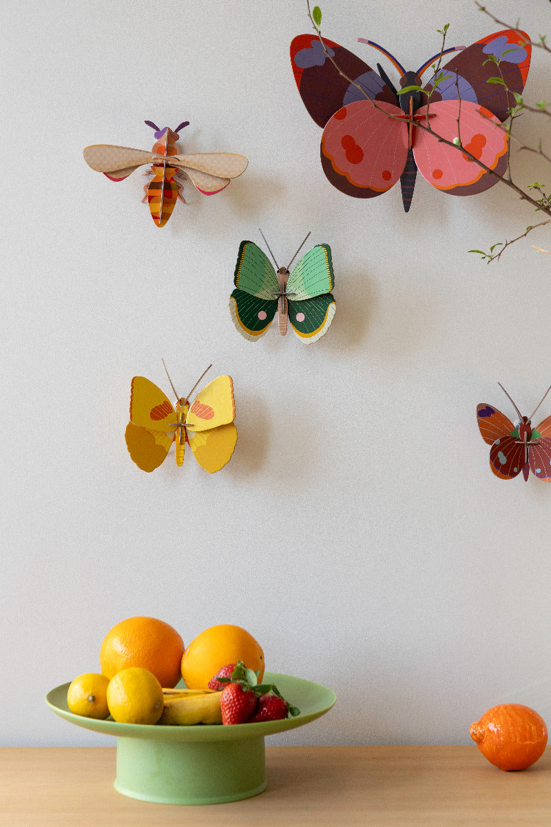 Wanddeko 3D Farngestreifter Schmetterling