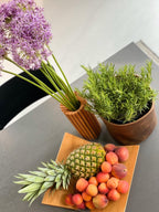 Leder-Blumentopf mit Pflanzen und Ananas in einem Raum