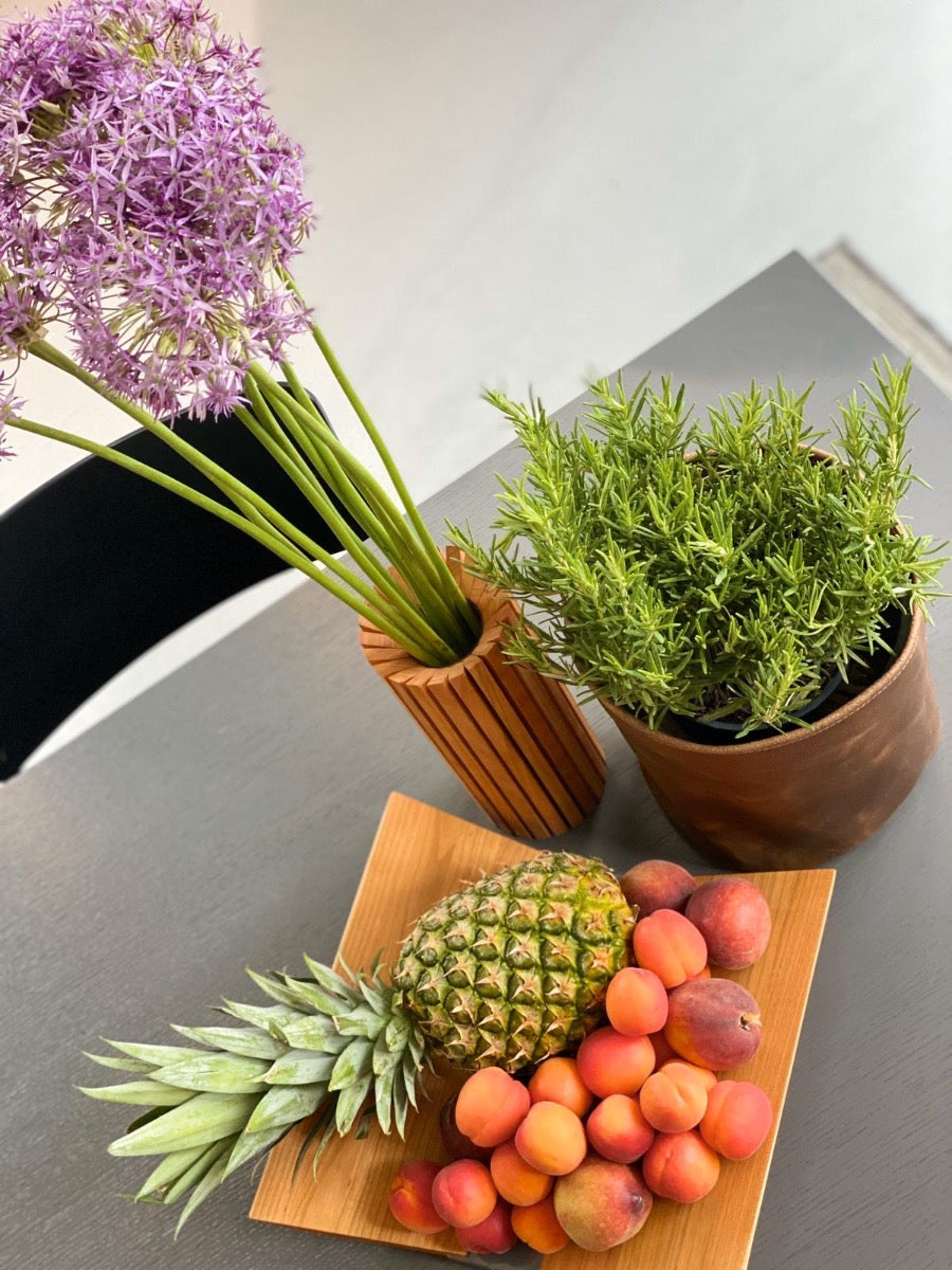 Leder-Blumentopf mit Pflanzen und Ananas in einem Raum