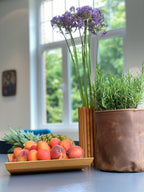 Leder-Blumentopf mit Pflanzen in einem Raum