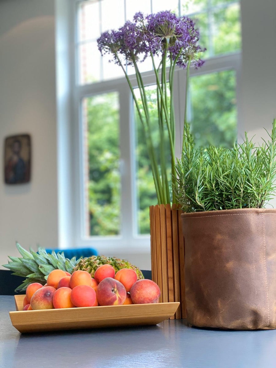 Leder-Blumentopf mit Pflanzen in einem Raum