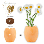 Ostereier mit Gänseblümchen