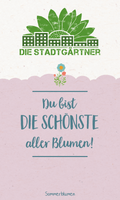 Saatgrüße-Du bist die schönste aller Blumen
