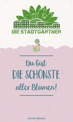 Saatgrüße-Du bist die schönste aller Blumen