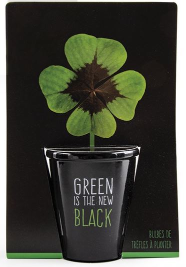 Ein Vierblättriges Kleeblatt mit einem Schwarzen Topf und ''Green is the new Black''