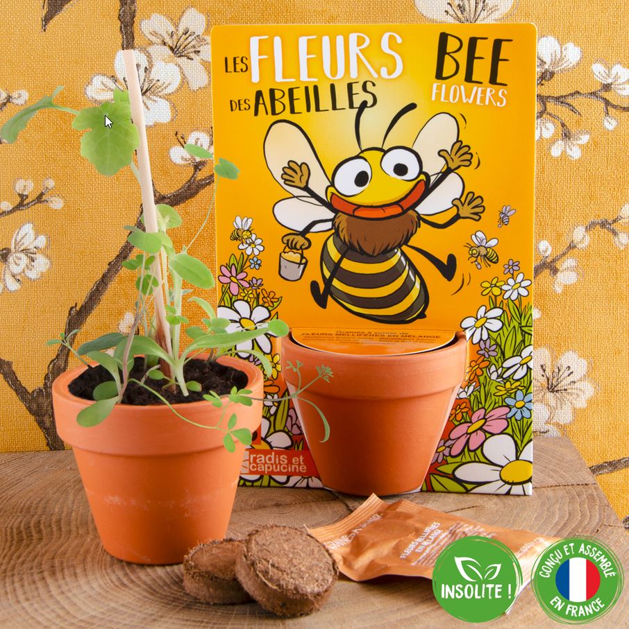 Die Verpackung des Tontopfs mit Pflanzen