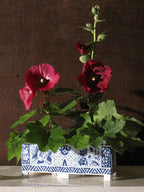 Falterbarer Blumenblock aus Polypropylen in einem Delfter Blauen 18. Jahrhundert Blumen Vasen Design in dem Rote Blumen zur schau gestellt werden