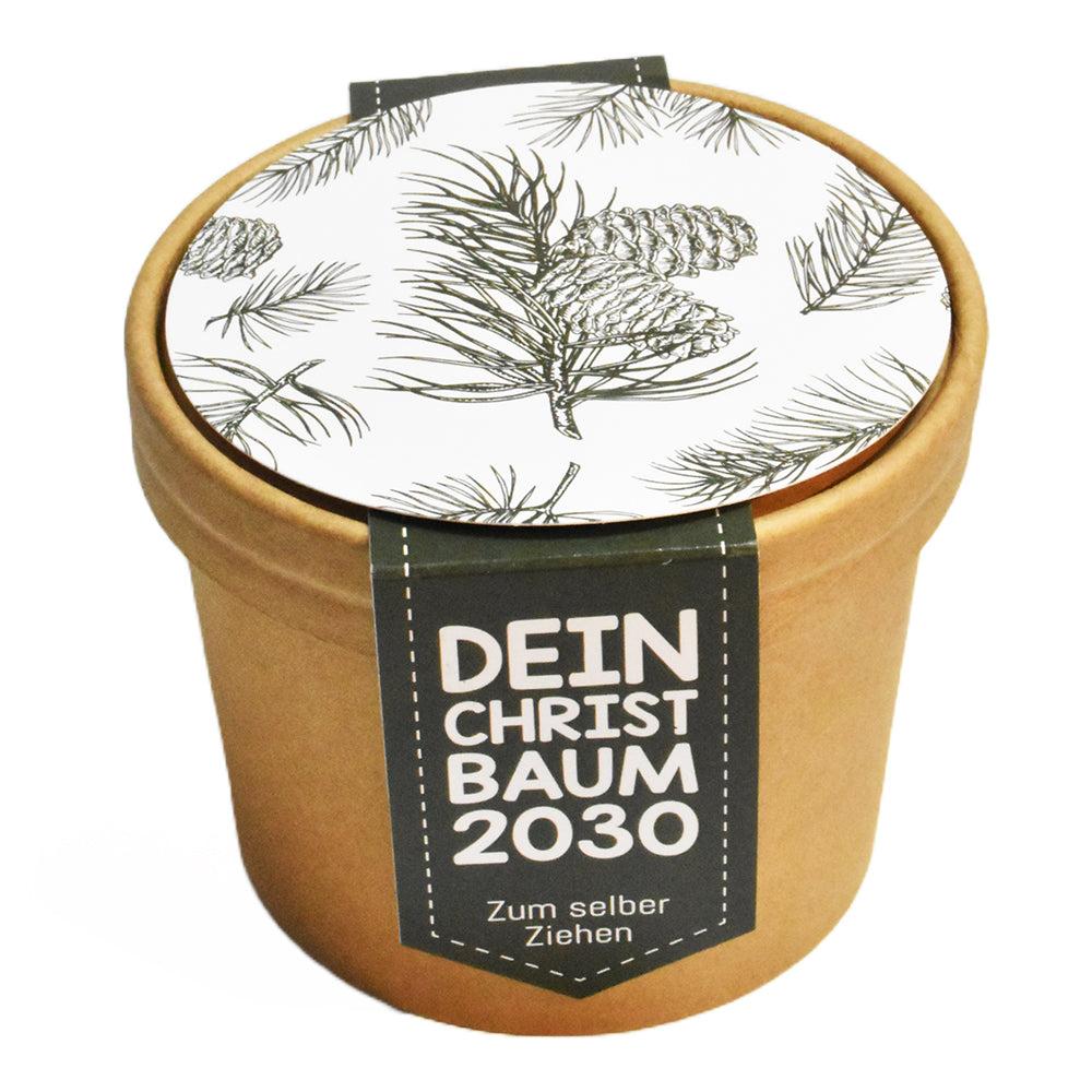 Pflanzset - Tannenbaum 2030 mini