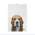 Weißes Geschirrtuch mit Hund Beagle Motiv