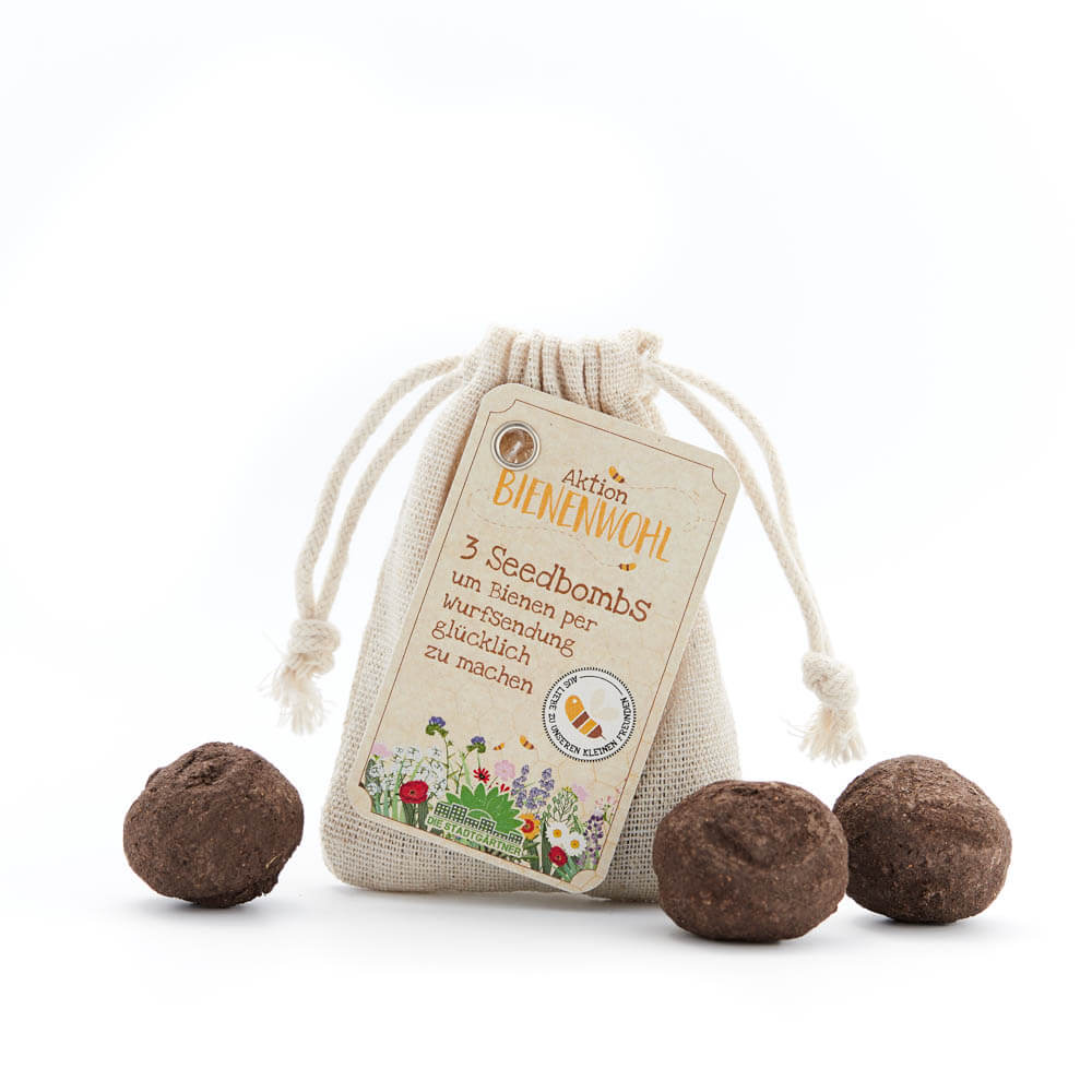 Bienenwohl Seedbombs 3Stk.
