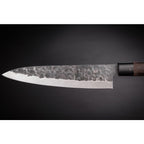 TAKAHIRO MIYAZAKI - Fisch- und Fleischmesser aus japanischem blauem Papierstahl