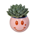 Pinker Blumentopf mit blauem Rand und einem Roten Smiley und einer eingepflanzten Sukkulente