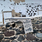 Geschirrtuch Leinen - Fisch Trio, anthrazit