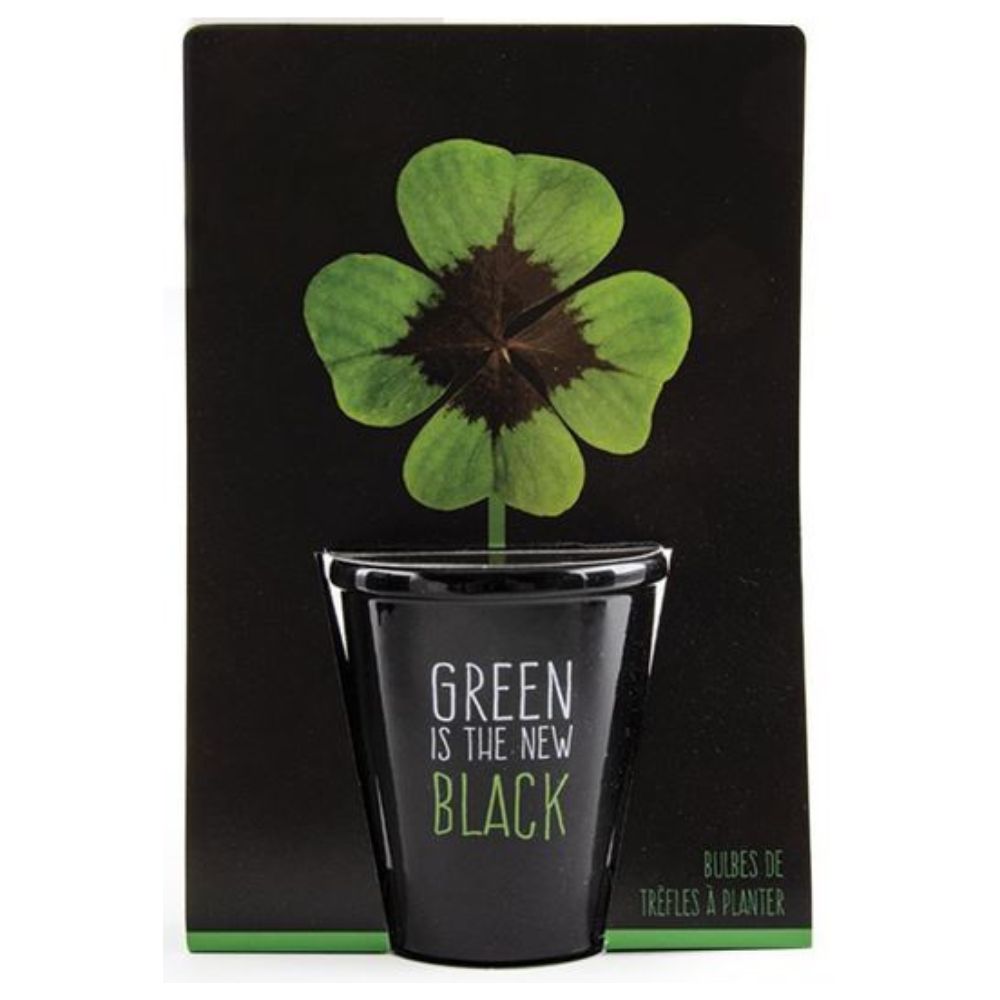 Ein Vierblättriges Kleeblatt mit einem Schwarzen Topf und ''Green is the new Black''