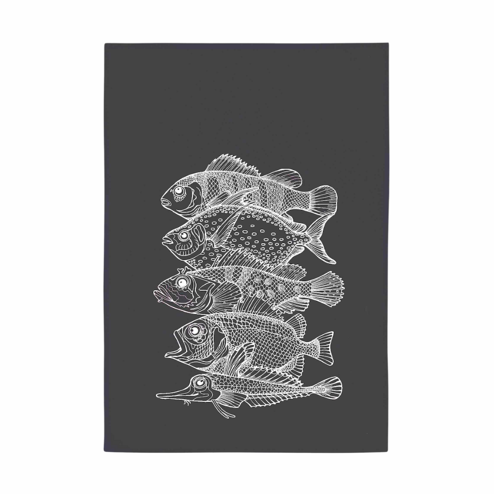 Eine Sammlung Weißer Fische