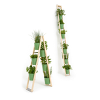 Zwei Pflanzleiter mit blassgrünen Kübeln im Milcheimer Design. Eines ist an der Wand angelehnt und ausgebreitet das andere ist als Stehleiter aufgebaut und enthalten verschiedene Pflanzen