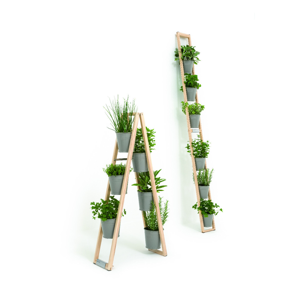 Pflanzleiter, eine Leiter an der man Kübel hängen kann. Einmal lang aufgeklappt und einmal als Stehleiter