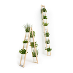 Zwei Pflanzleiter mit weißen Kübeln im Milcheimer Design. Eines ist an der Wand angelehnt und ausgebreitet das andere ist als Stehleiter aufgebaut und enthalten verschiedene Pflanzen