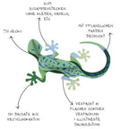 Wanddeko 3D Grüner Gecko