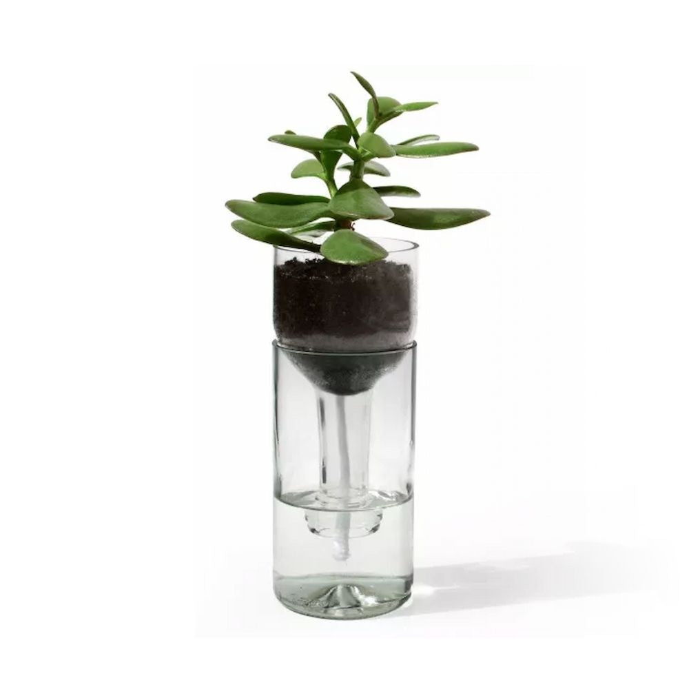 Selbstwässernder Blumentopf aus Glas – Edel Werk