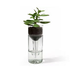 Selbstbewässernder Blumentopf Transparent