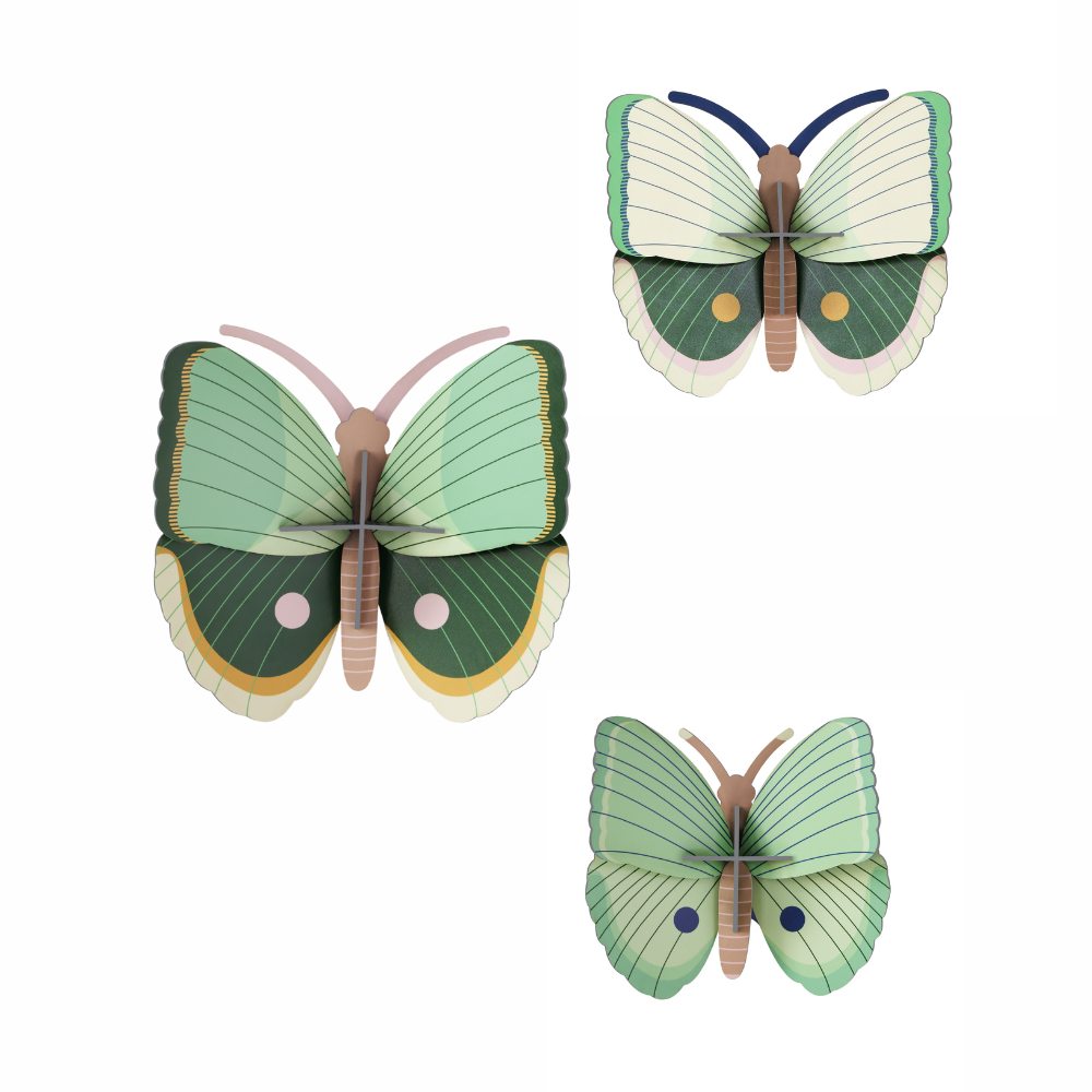 Wanddeko 3D Farn gestreifte Schmetterlinge