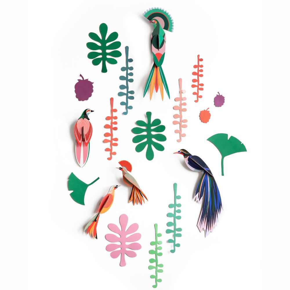 Tropische Vögel Wanddeko Set mit tropischen Pflanzen bunte Farben exotisch 
