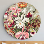 Wandkreis 60cm - Orchidee