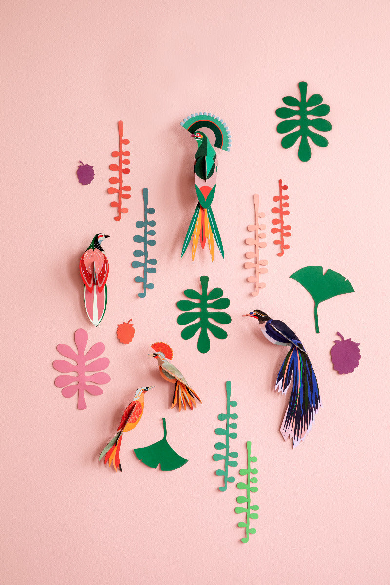 Wanddeko Set Tropische Vögel und Pflanzen "Bird Observer"