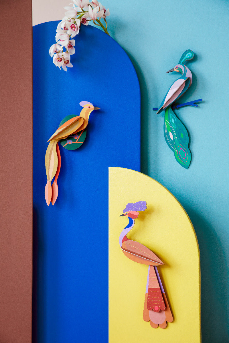 Verschiedenfarbige Paradiesvögel aufgehangen an der Wand mit Orchideen